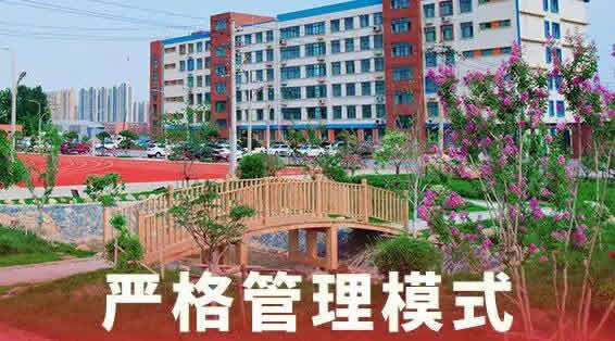 优实力教育怎么样(郑州捷登高考全日制学校地址)