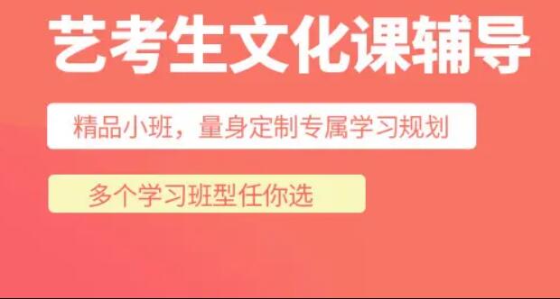 高中艺术班学什么文化课(高中艺术生文化课补习机构)