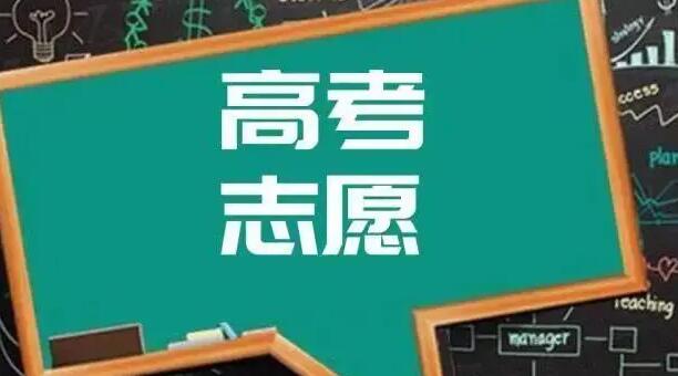 高考志愿填报有96个专业吗怎么填(高中生志愿服务表填写)