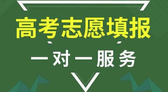 高考志愿填报有96个专业吗(高考报志愿的流程)