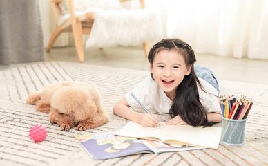 深圳老师推荐龙岗区专业法语培训中心排行榜名单